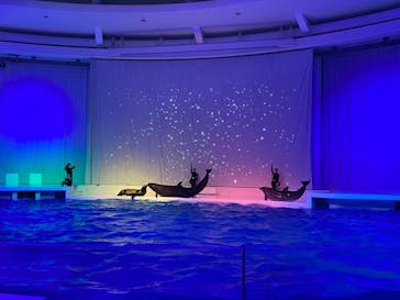 アクアワールド茨城県大洗水族館に投稿された画像（2022/11/6）