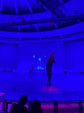 アクアワールド茨城県大洗水族館に投稿された画像（2022/11/6）