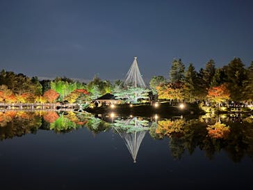 国営昭和記念公園 秋の夜散歩に投稿された画像（2022/11/6）
