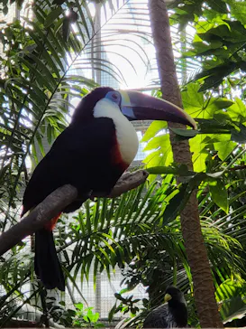 神戸どうぶつ王国に投稿された画像（2022/11/6）