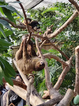 神戸どうぶつ王国に投稿された画像（2022/11/6）
