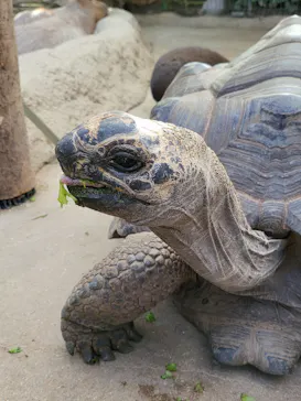 神戸どうぶつ王国に投稿された画像（2022/11/6）