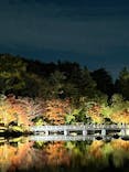 国営昭和記念公園 秋の夜散歩に投稿された画像（2022/11/7）
