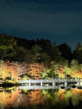 国営昭和記念公園 秋の夜散歩に投稿された画像（2022/11/6）
