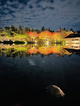 国営昭和記念公園 秋の夜散歩に投稿された画像（2022/11/6）