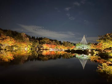 国営昭和記念公園 秋の夜散歩に投稿された画像（2022/11/6）