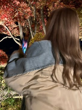 国営昭和記念公園 秋の夜散歩に投稿された画像（2022/11/6）