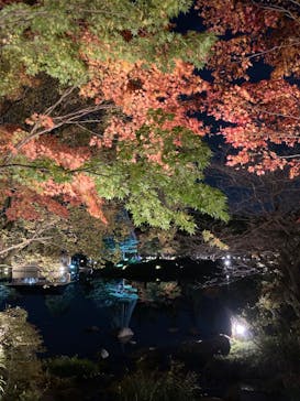 国営昭和記念公園 秋の夜散歩に投稿された画像（2022/11/7）
