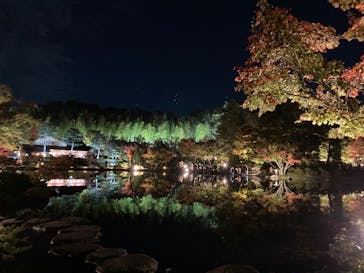 国営昭和記念公園 秋の夜散歩に投稿された画像（2022/11/7）