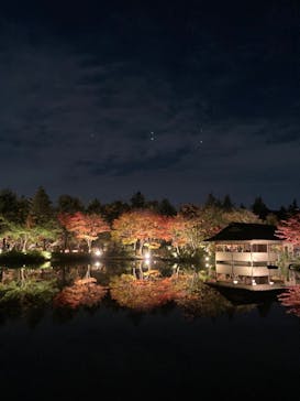 国営昭和記念公園 秋の夜散歩に投稿された画像（2022/11/7）