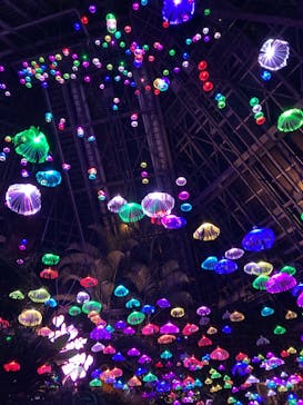 大阪府立花の文化園に投稿された画像（2022/11/7）