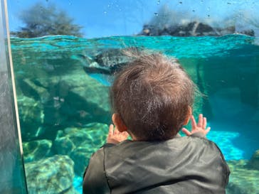 東武動物公園に投稿された画像（2022/11/7）