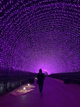 NESTA RESORT KOBE（ネスタリゾート神戸）に投稿された画像（2022/11/7）