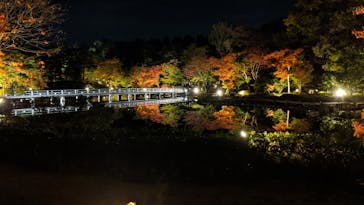 国営昭和記念公園 秋の夜散歩に投稿された画像（2022/11/7）
