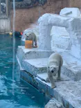天王寺動物園に投稿された画像（2022/11/7）