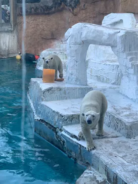 天王寺動物園に投稿された画像（2022/11/7）