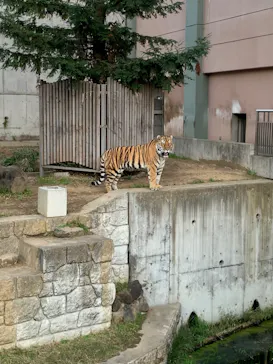 天王寺動物園に投稿された画像（2022/11/7）