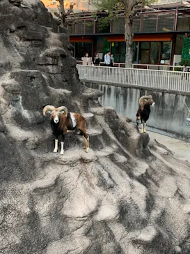 天王寺動物園に投稿された画像（2022/11/7）