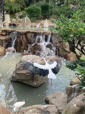 天王寺動物園に投稿された画像（2022/11/7）