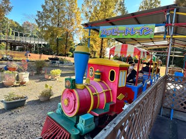 日本モンキーパークに投稿された画像（2022/11/7）