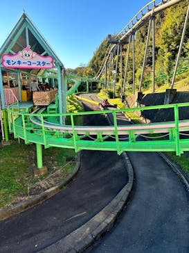 日本モンキーパークに投稿された画像（2022/11/7）