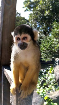 伊豆シャボテン動物公園に投稿された画像（2022/11/7）