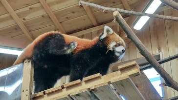 伊豆シャボテン動物公園に投稿された画像（2022/11/7）