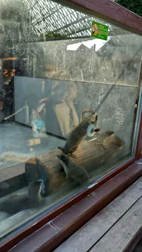 横浜・八景島シーパラダイスに投稿された画像（2022/11/7）