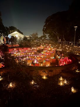 江の島シーキャンドルに投稿された画像（2022/11/7）