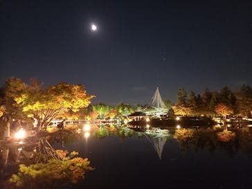 国営昭和記念公園 秋の夜散歩に投稿された画像（2022/11/7）