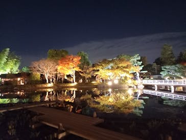 国営昭和記念公園 秋の夜散歩に投稿された画像（2022/11/7）