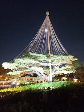 国営昭和記念公園 秋の夜散歩に投稿された画像（2022/11/7）