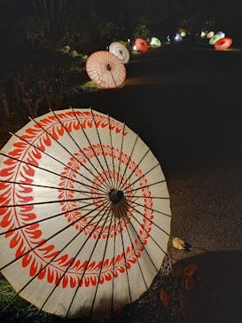 国営昭和記念公園 秋の夜散歩に投稿された画像（2022/11/7）