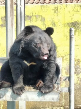 阿蘇カドリー・ドミニオンに投稿された画像（2022/11/7）