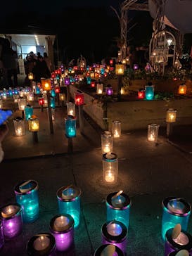 江の島シーキャンドルに投稿された画像（2022/11/7）