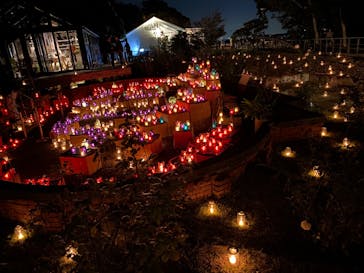 江の島シーキャンドルに投稿された画像（2022/11/7）