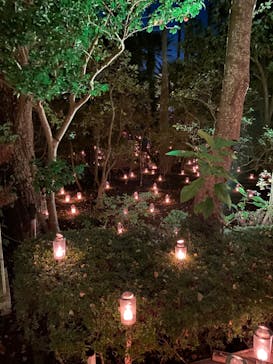 江の島シーキャンドルに投稿された画像（2022/11/7）