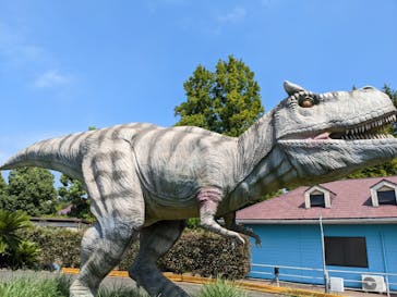 伊豆ぐらんぱる公園に投稿された画像（2022/11/7）