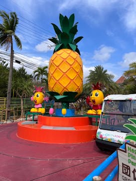ナゴパイナップルパークに投稿された画像（2022/11/7）