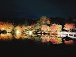 国営昭和記念公園 秋の夜散歩に投稿された画像（2022/11/7）