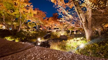 国営昭和記念公園 秋の夜散歩に投稿された画像（2022/11/7）