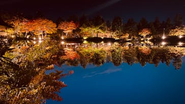 国営昭和記念公園 秋の夜散歩に投稿された画像（2022/11/7）