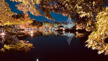 国営昭和記念公園 秋の夜散歩に投稿された画像（2022/11/7）