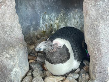 京都水族館に投稿された画像（2022/11/7）