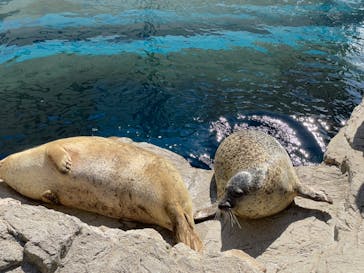 京都水族館に投稿された画像（2022/11/7）