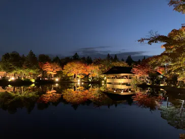 国営昭和記念公園 秋の夜散歩に投稿された画像（2022/11/7）