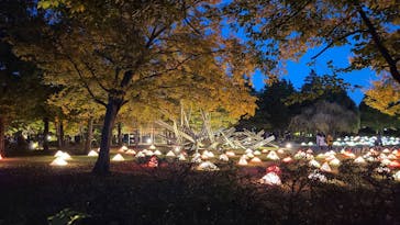 国営昭和記念公園 秋の夜散歩に投稿された画像（2022/11/7）