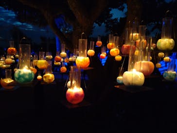 江の島シーキャンドルに投稿された画像（2022/11/7）