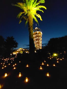 江の島シーキャンドルに投稿された画像（2022/11/7）