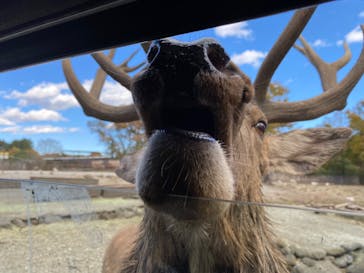 那須サファリパークに投稿された画像（2022/11/7）